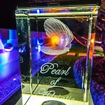 Pearl Of Adriatic